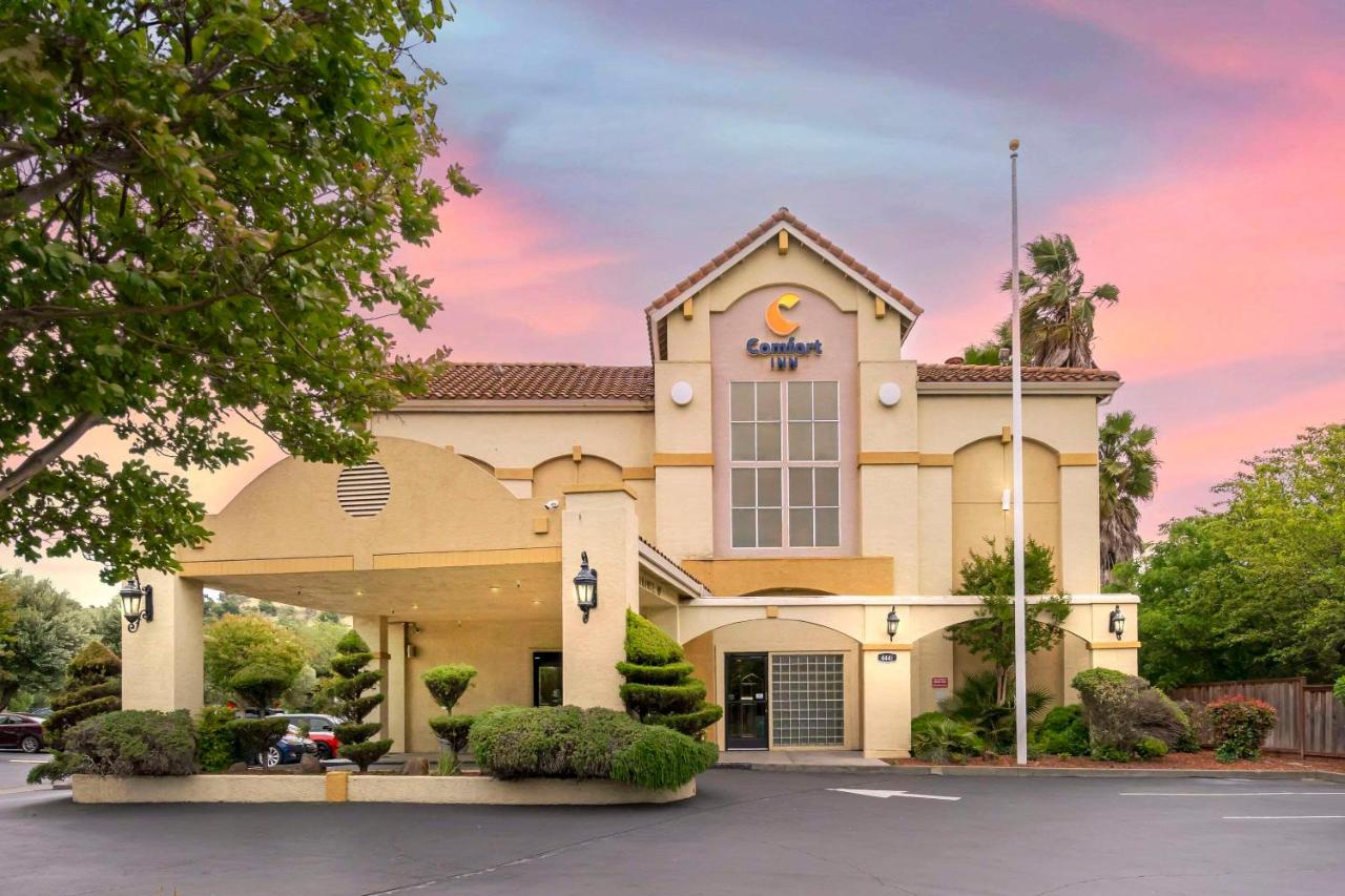 | Comfort Inn Cordelia