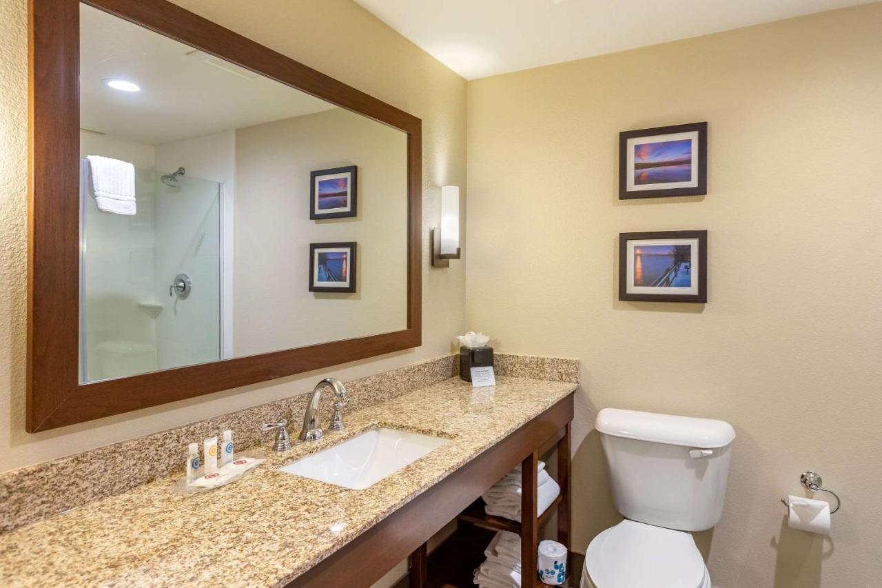 King Suite with Sofa Bed at Comfort Suites Near Denver Downtown