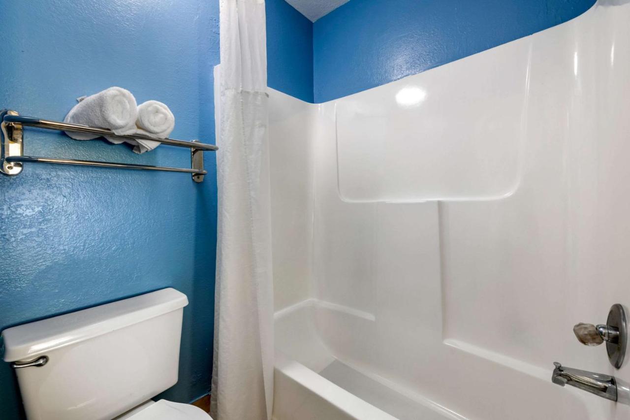 King Room - Non-Smoking at Quality Inn Sarasota North Near Lido Key Beach