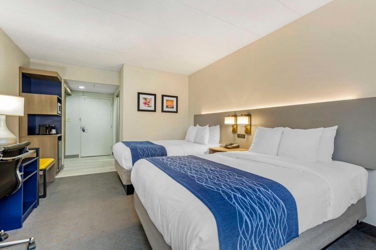 Double Room - Non-Smoking at Comfort Inn Herndon - Reston