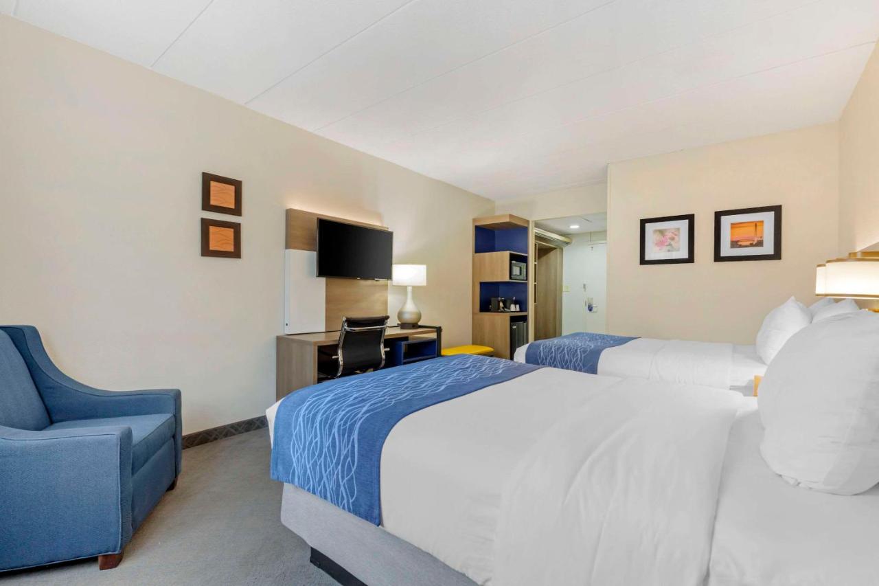 Double Room - Non-Smoking at Comfort Inn Herndon - Reston