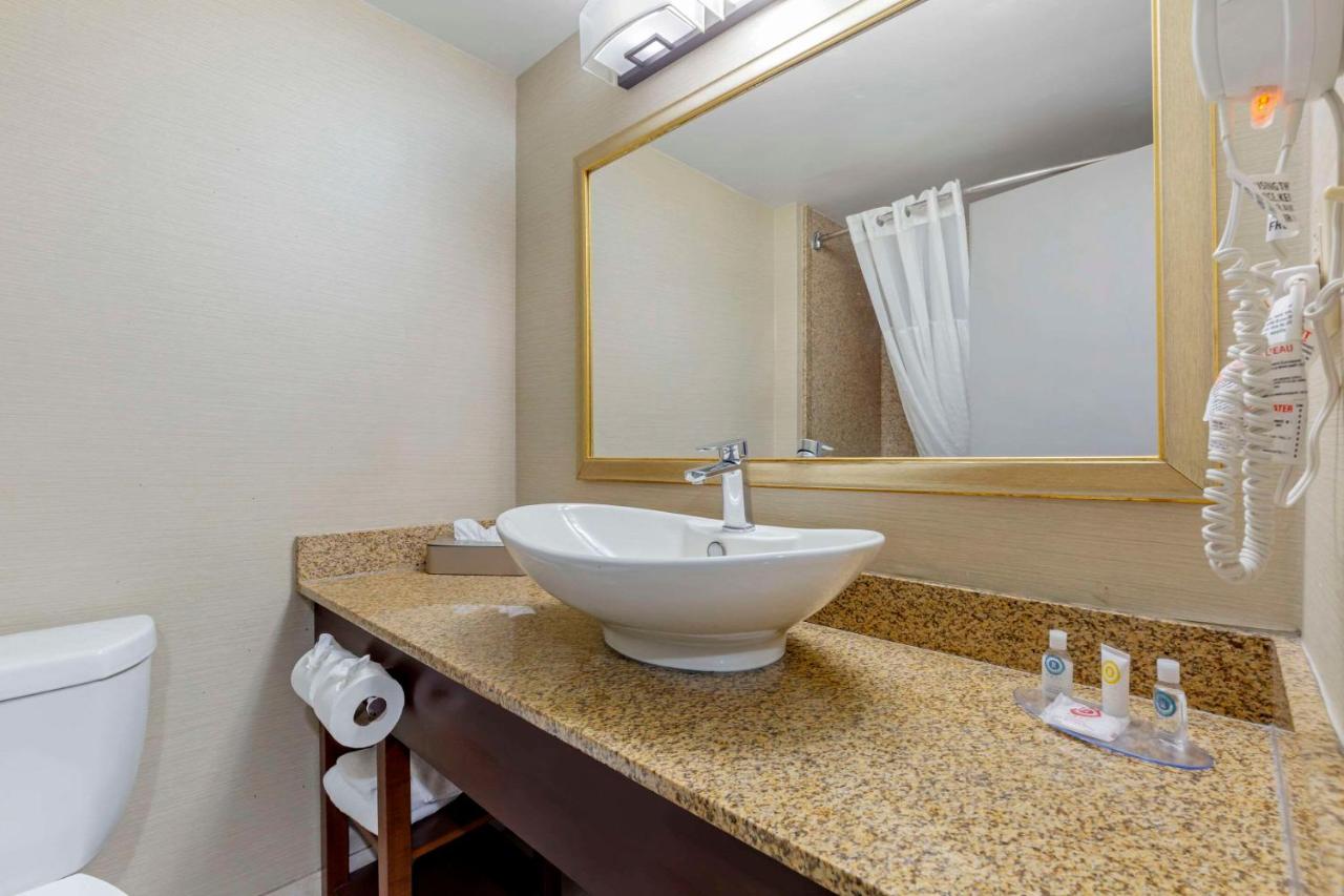 Double Room - Non-Smoking at Comfort Inn Herndon - Reston