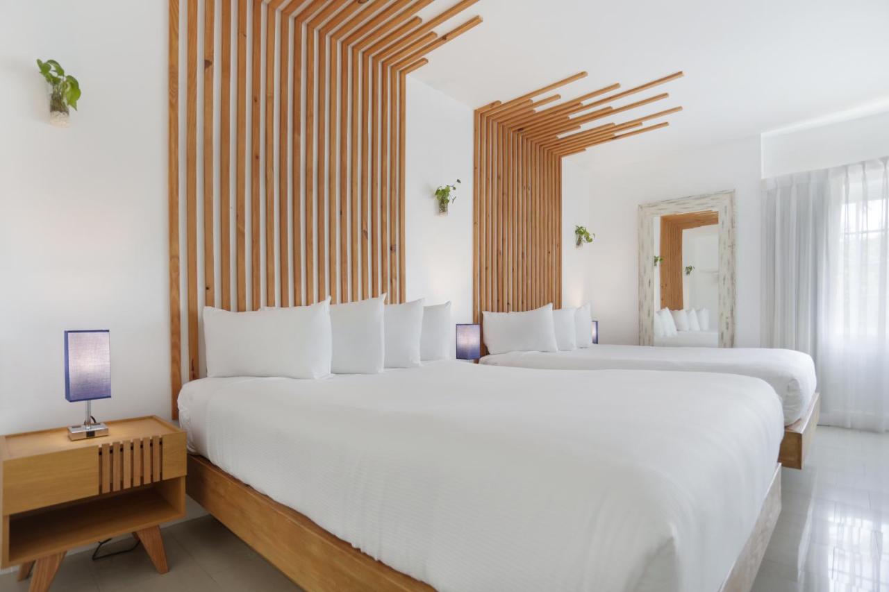 Premium Family One-Bedroom Suite with Kitchen at Hotel Belleza