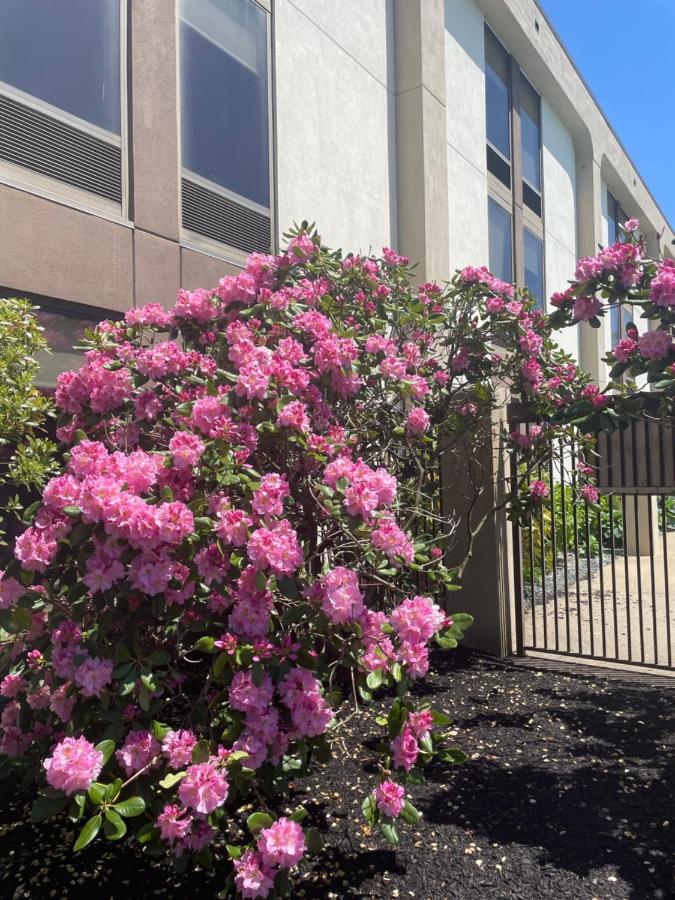  | Hampton Inn New Bedford/Fairhaven