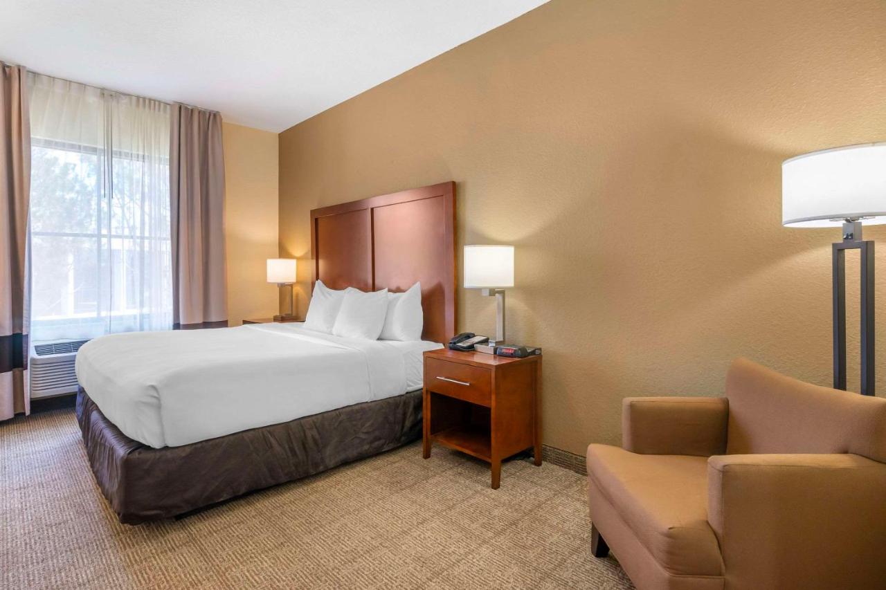 King Room at Comfort Inn & Suites Northeast - Gateway