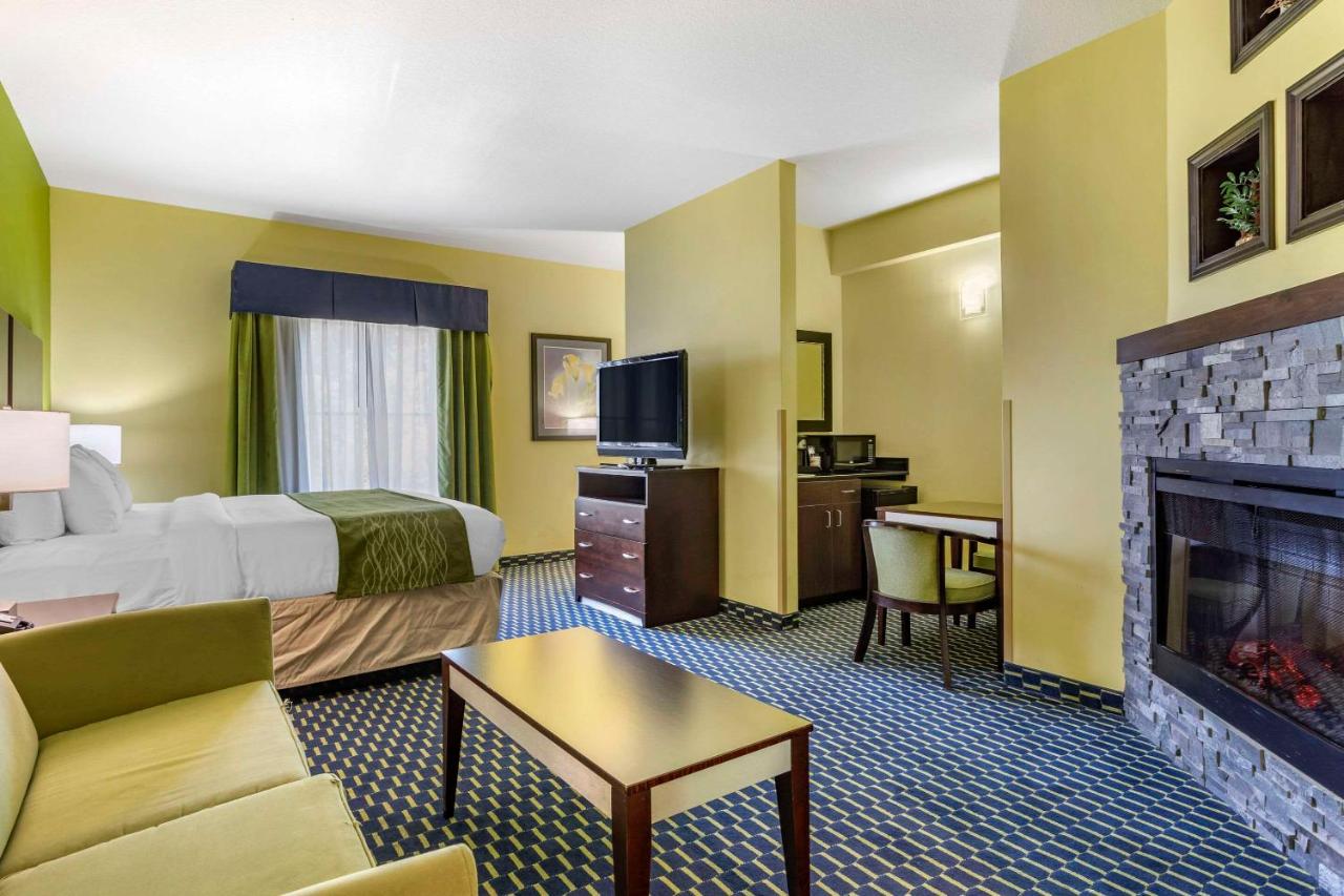 Business King Suite - Non-Smoking at Comfort Inn Athens