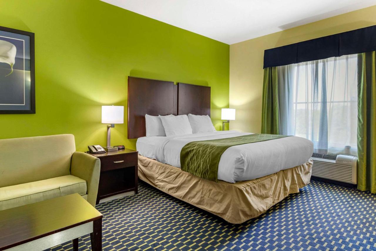 Business King Suite - Non-Smoking at Comfort Inn Athens