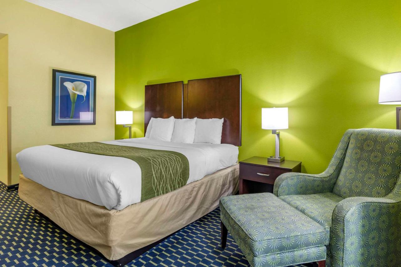 King Room - Accessible/Non-Smoking at Comfort Inn Athens