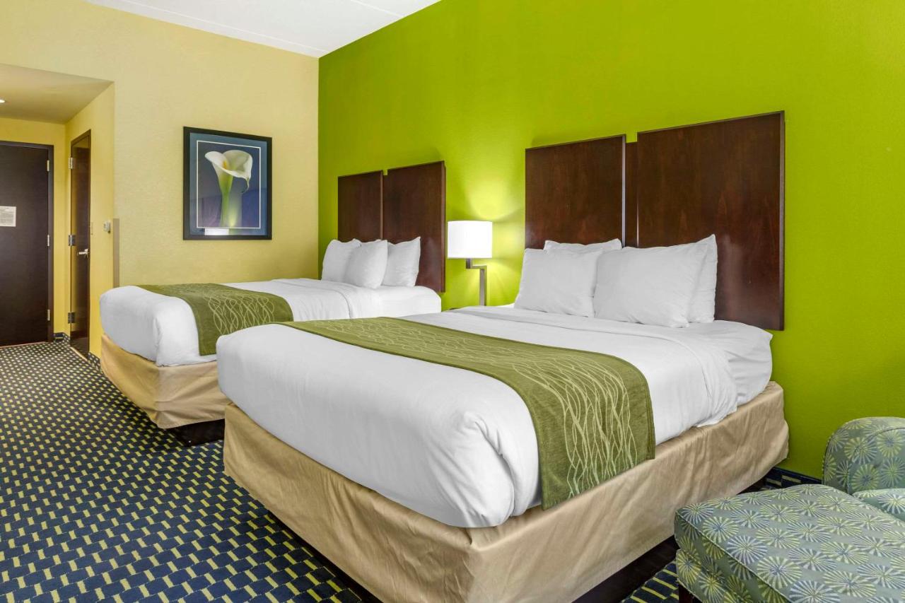 Queen Room with Two Queen Beds - Non-Smoking at Comfort Inn Athens