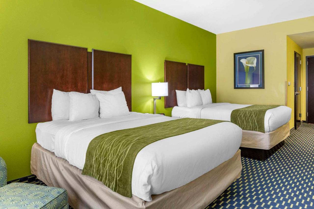 Superior Queen Room with Two Queen Beds - Non-Smoking at Comfort Inn Athens