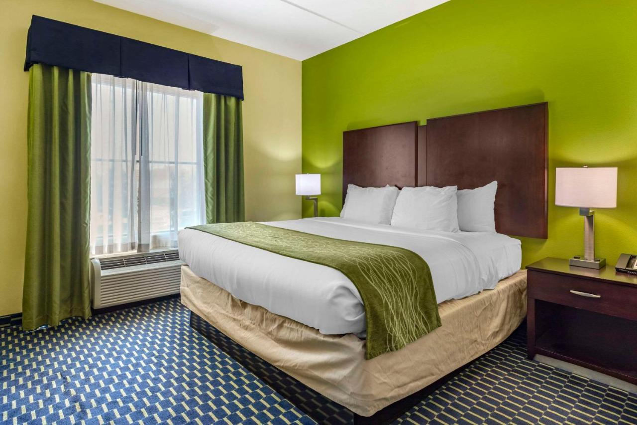King Suite - Non-Smoking at Comfort Inn Athens