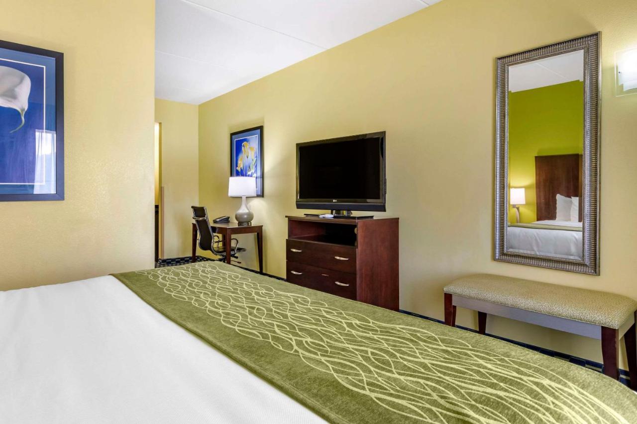 King Suite - Non-Smoking at Comfort Inn Athens