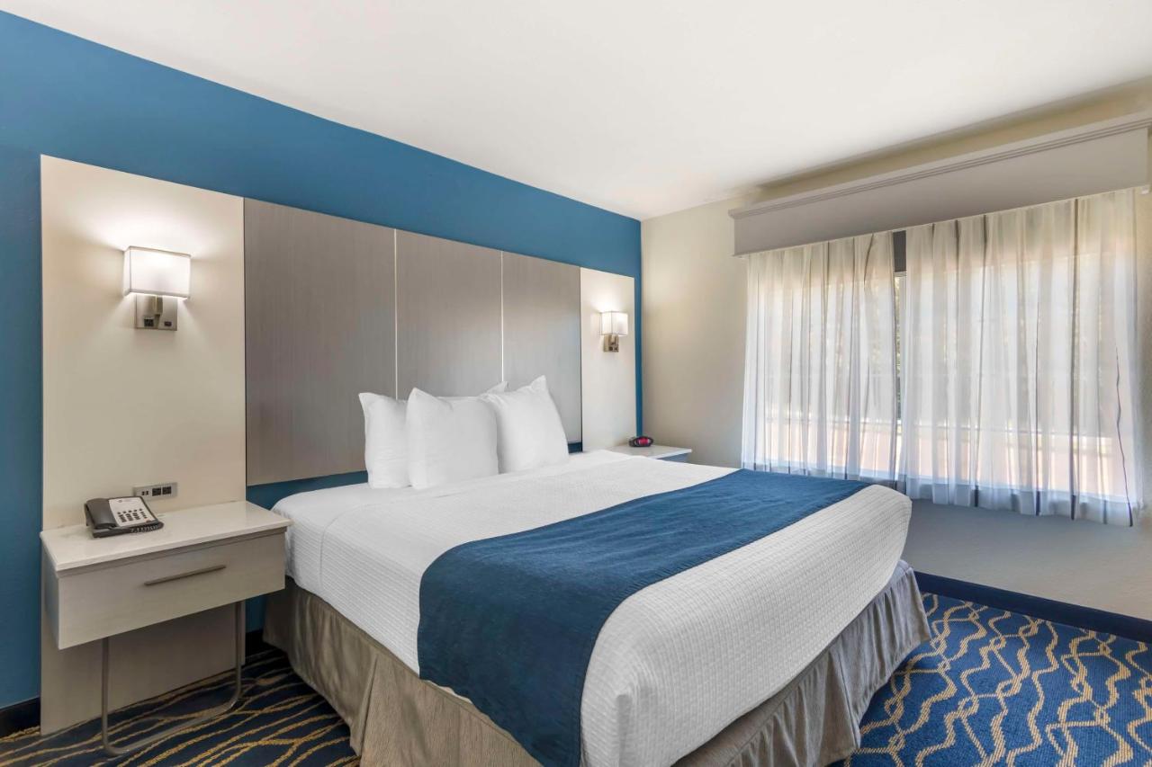 King Suite - Non-Smoking at Best Western Plus Lake Lanier/gainesville Hotel & Suites