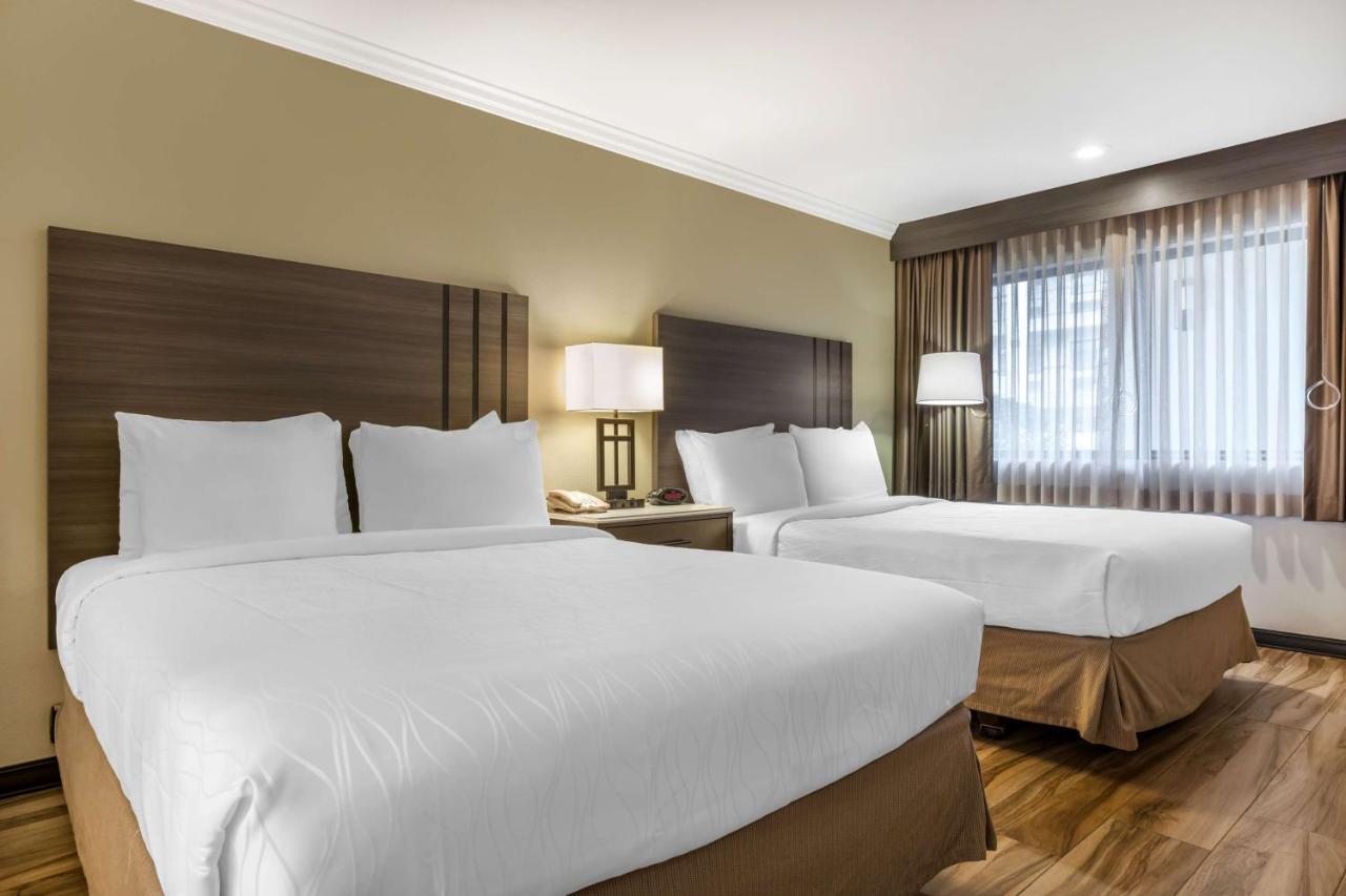 Queen Room with Two Queen Beds - Non-Smoking at Best Western Plus Orange County Airport North