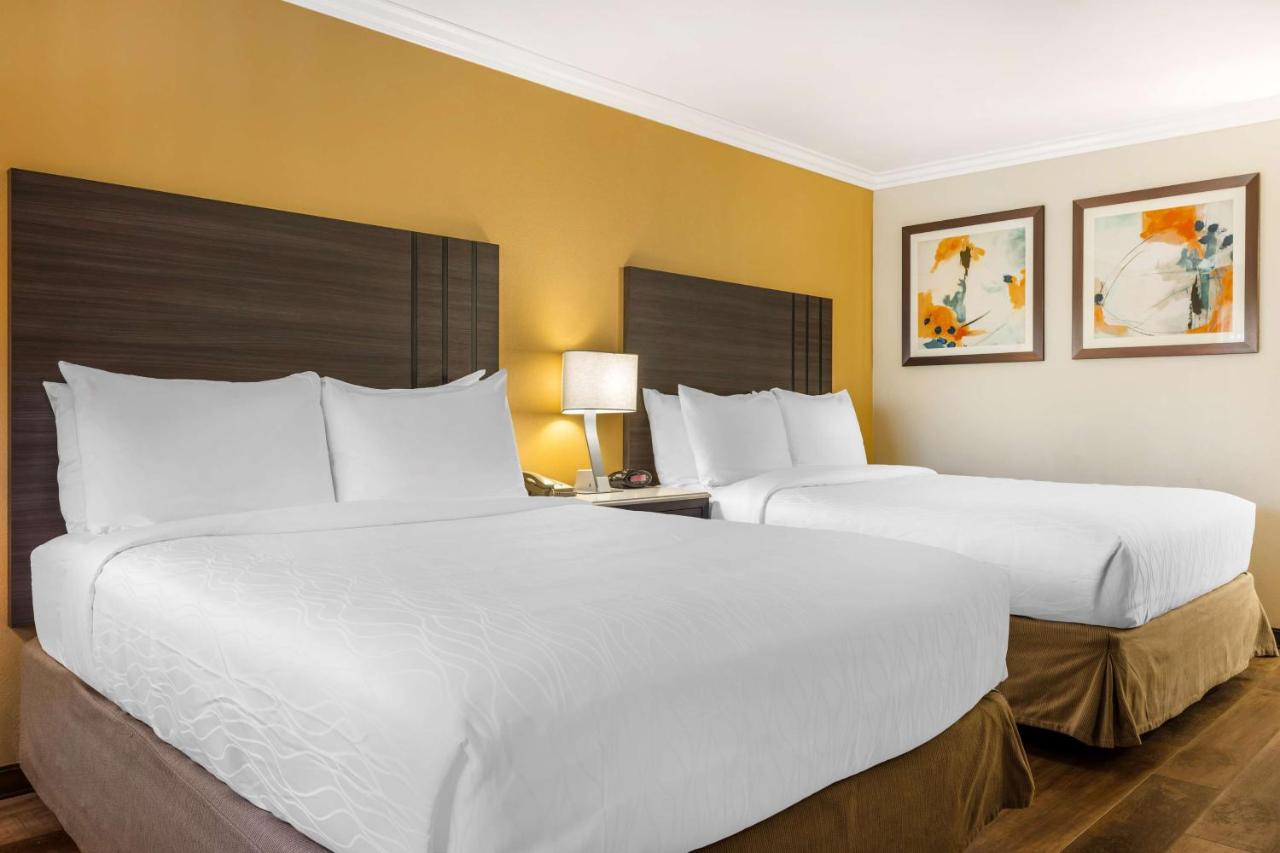 Queen Room with Two Queen Beds and Walk-in Shower - Disability Access at Best Western Plus Orange County Airport North