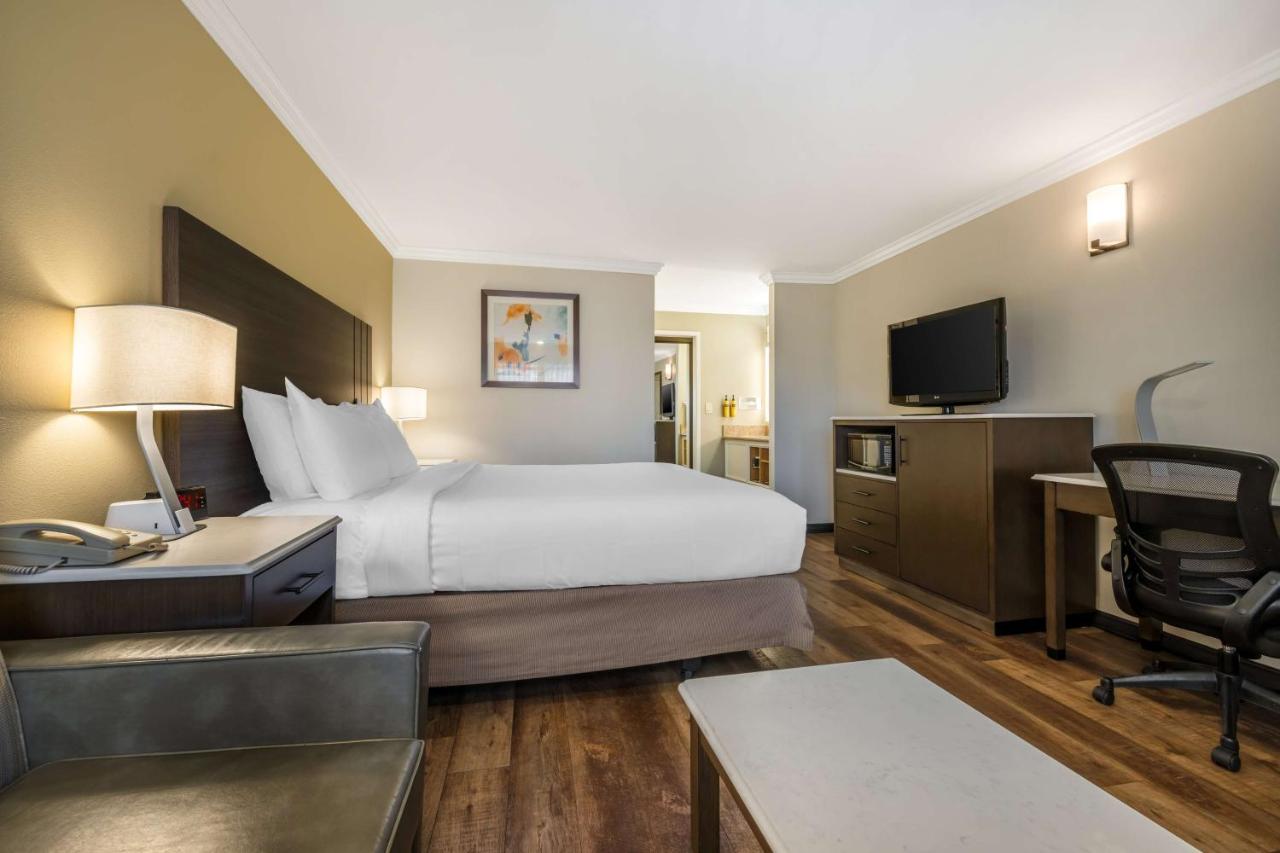 King Room with Walk-in Shower - Disability Access at Best Western Plus Orange County Airport North