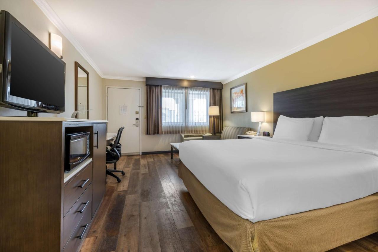 King Room with Walk-in Shower - Disability Access at Best Western Plus Orange County Airport North