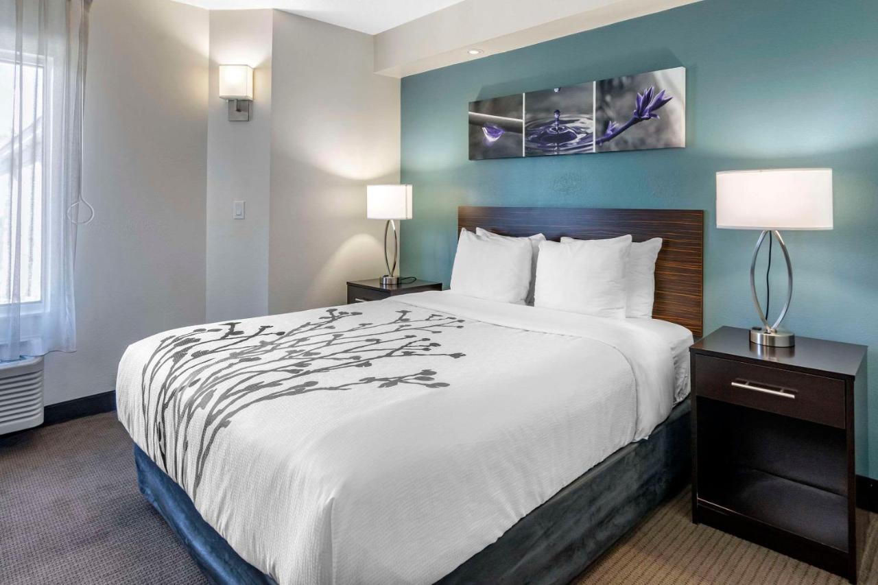 Queen Room - Disability Access - Non -Smoking at Sleep Inn Clearwater - St Petersburg