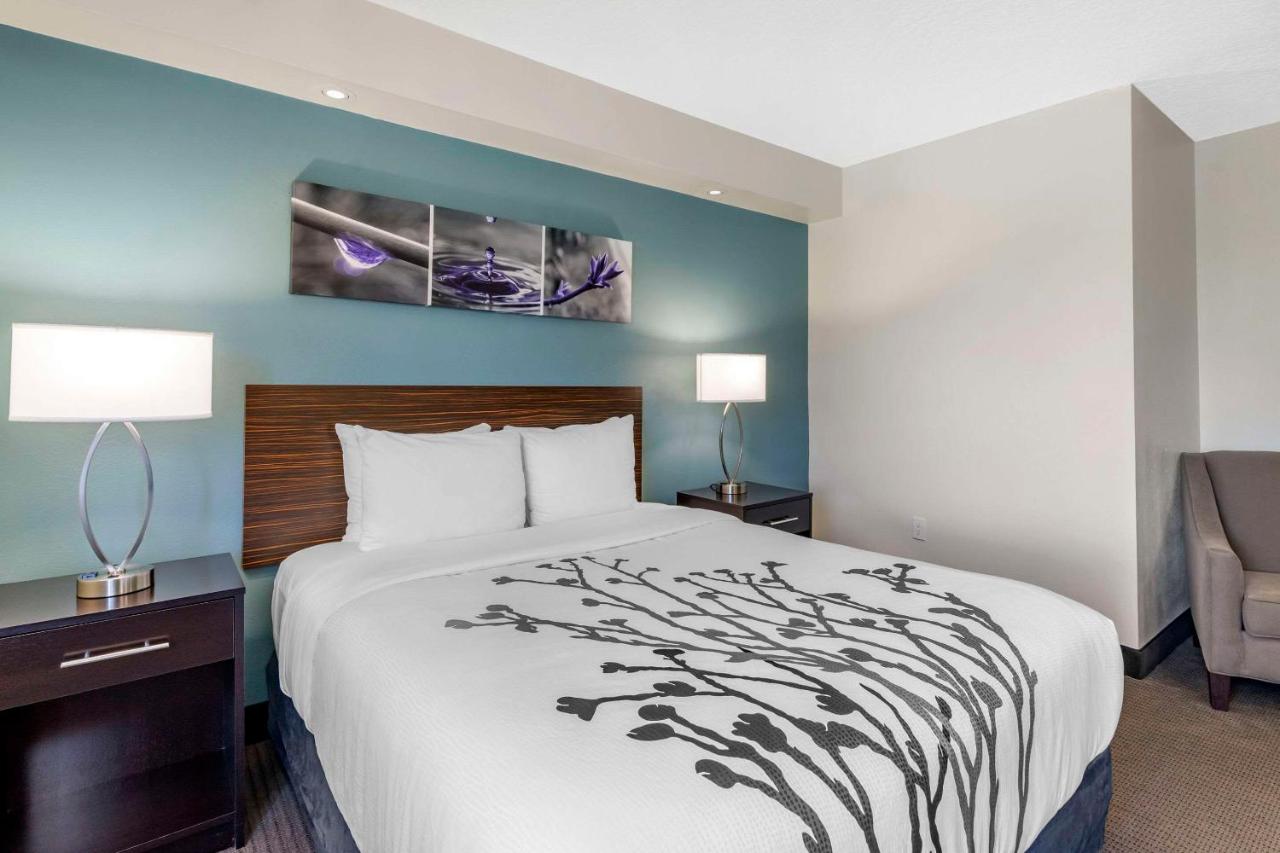 Queen Room - Disability Access - Non -Smoking at Sleep Inn Clearwater - St Petersburg