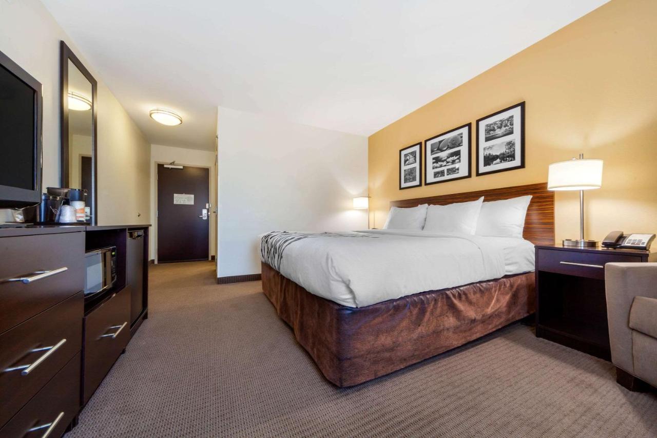 Standard King Room - Non-Smoking at Sleep Inn & Suites Bismarck I-94