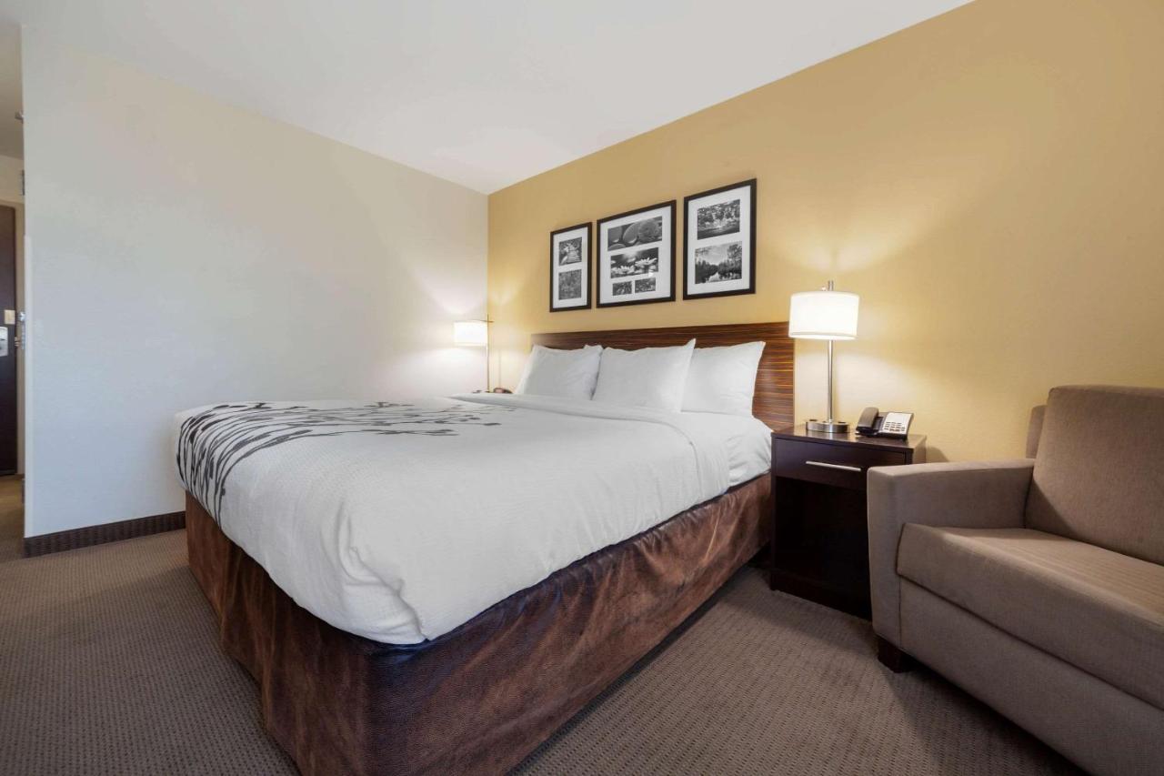 Standard King Room - Non-Smoking at Sleep Inn & Suites Bismarck I-94