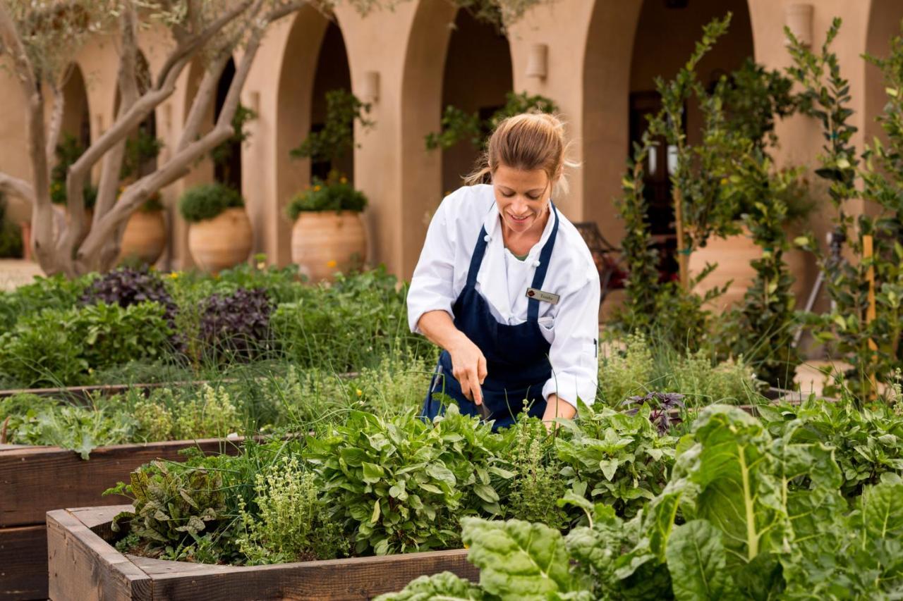 | Allegretto Vineyard Resort Paso Robles