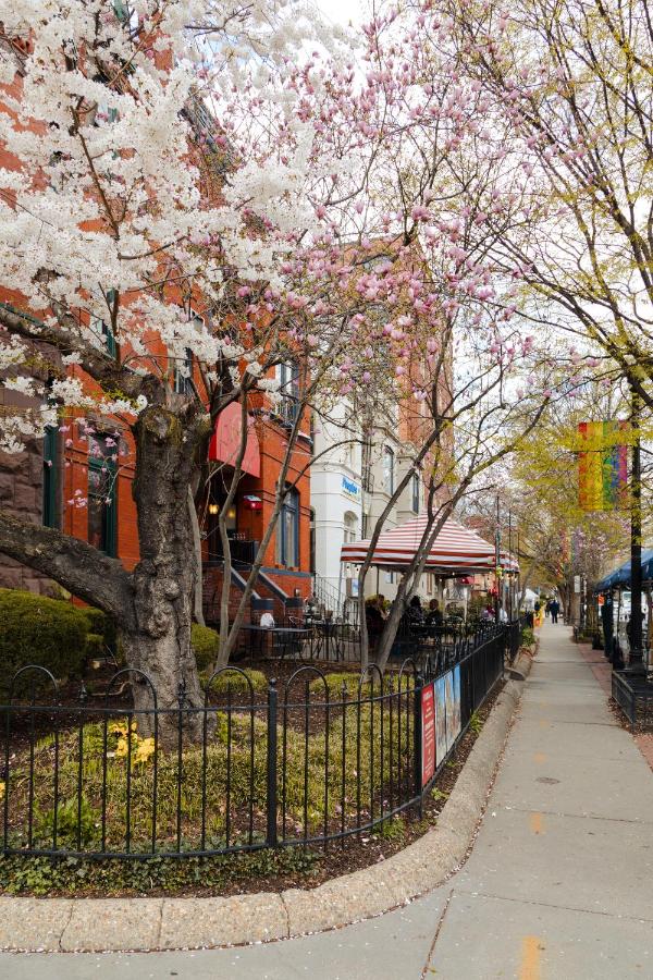 | Sonder at FOUND Dupont Circle