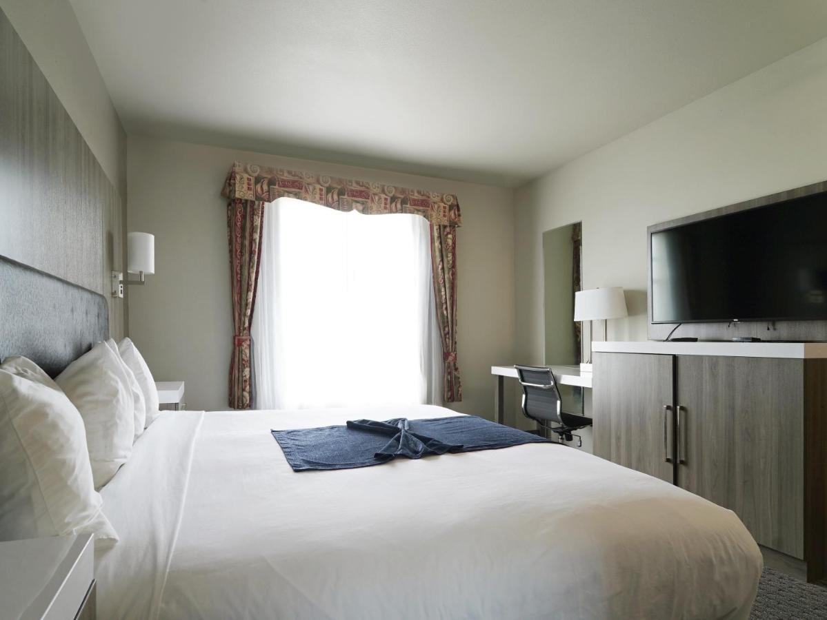 Deluxe Suite with Ocean View at MorningGlory Hotel, Resort & Suites