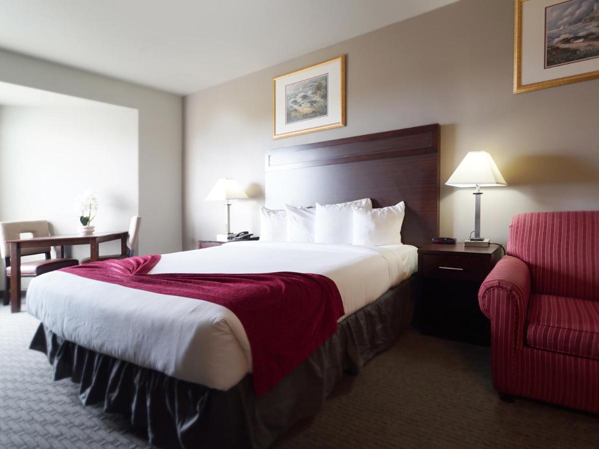 Standard King Room with Partial Ocean View at MorningGlory Hotel, Resort & Suites