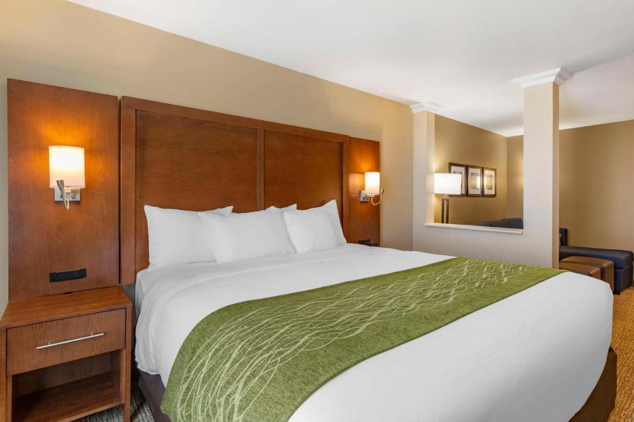 Efficiency King Suite - Non-Smoking at Comfort Suites Albuquerque Airport