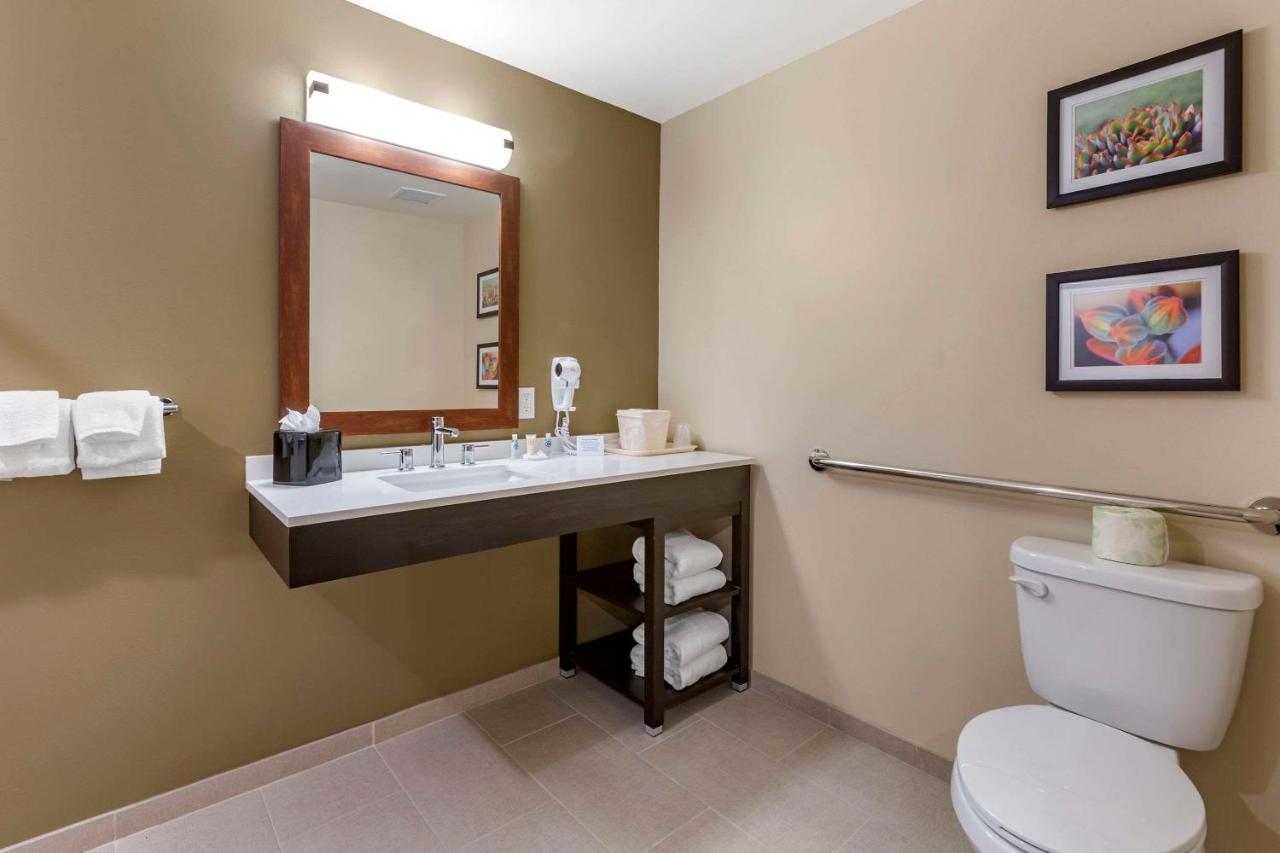 Efficiency King Suite - Non-Smoking at Comfort Suites Albuquerque Airport