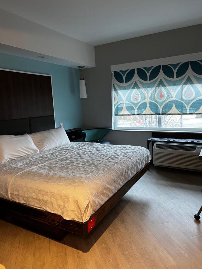 King Room - Mobility Accessible with Roll In Shower at Tru by Hilton Lancaster East