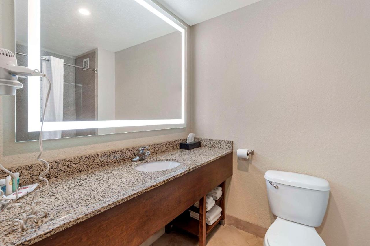 King Suite - Non-Smoking at Comfort Suites Merrillville near US 30