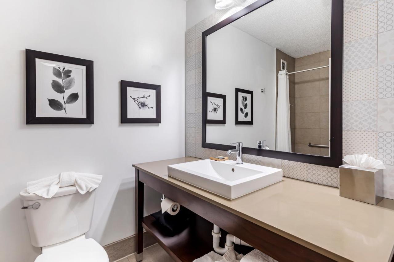 Whirlpool King Suite - Non-Smoking at Country Inn & Suites by Radisson, Annapolis, MD