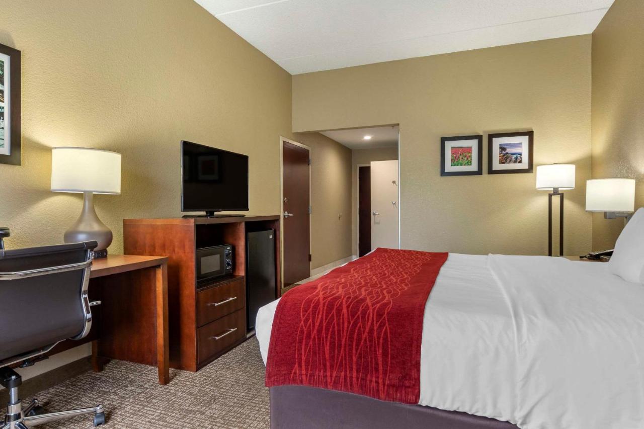 King Room - Disability Access/Non-Smoking at Comfort Inn & Suites Mocksville I-40