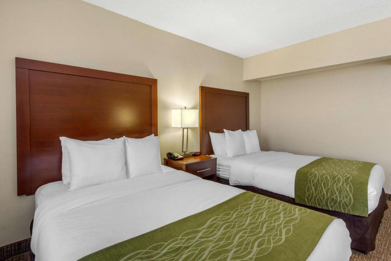 Junior Suite with Two Double Beds and Sofa Bed - Non-Smoking at Comfort Inn St Petersburg North