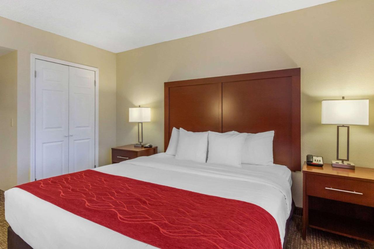 King Room - Non-Smoking at Comfort Inn St Petersburg North