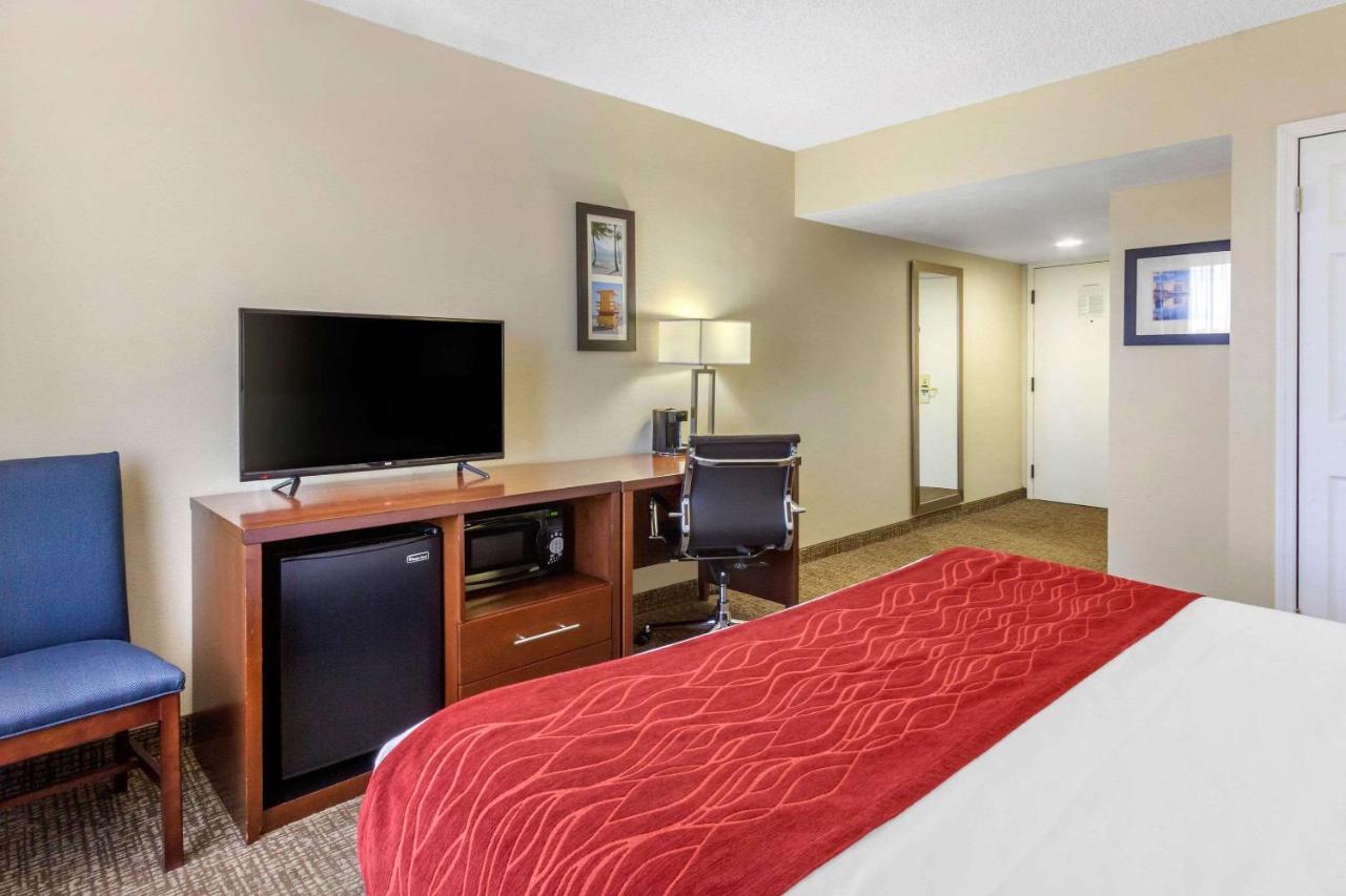 King Room - Non-Smoking at Comfort Inn St Petersburg North