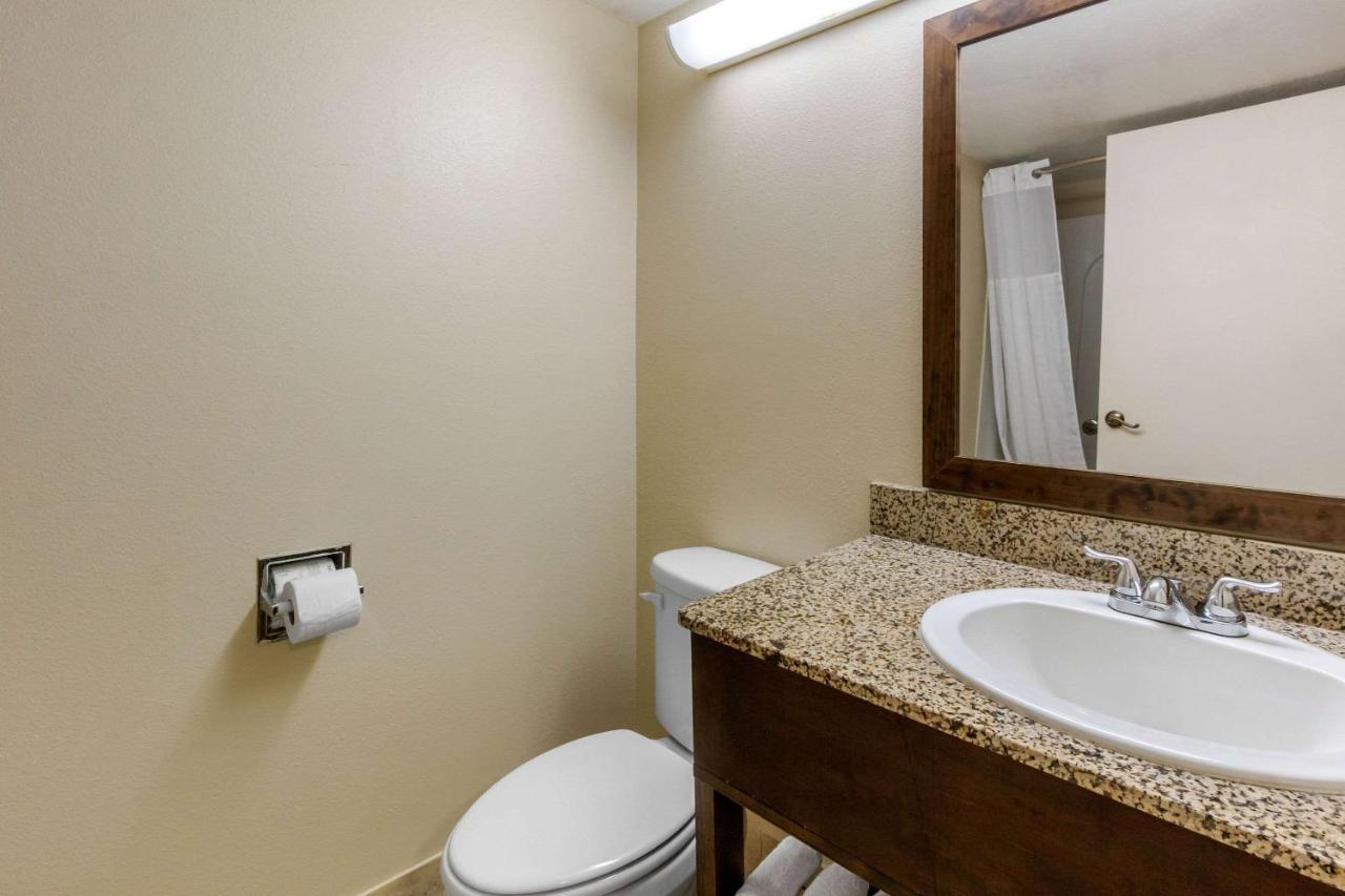 King Room - Non-Smoking at Comfort Inn St Petersburg North