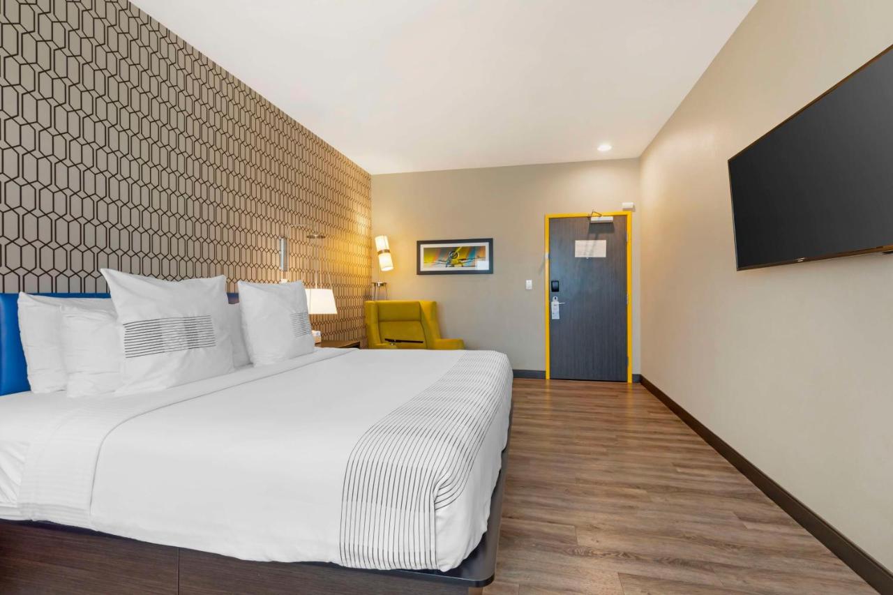 King Room with Roll-In Shower - Disability Access at GLō Best Western Dallas South DeSoto