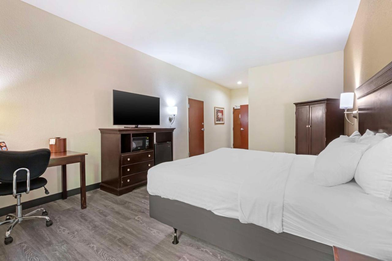 King Room with Roll-In Shower - Disability Access at Best Western Plus Greenville South