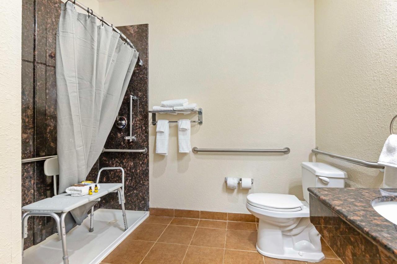 King Room with Roll-In Shower - Disability Access at Best Western Plus Greenville South