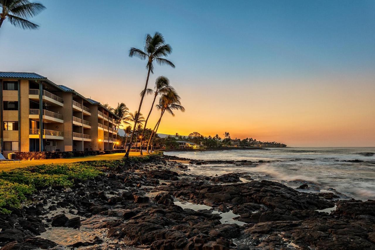 | Castle Kona Reef