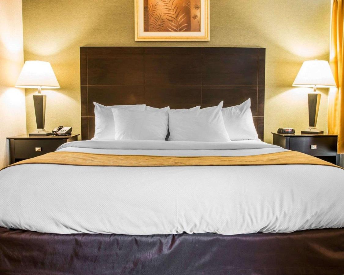 Deluxe King Suite with Two Queen Beds- Non-Smoking at Comfort Inn Whitehall near Michigan's Adventure