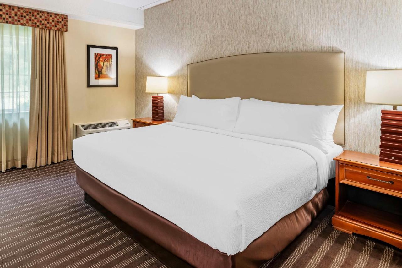  | Best Western Springfield Hotel