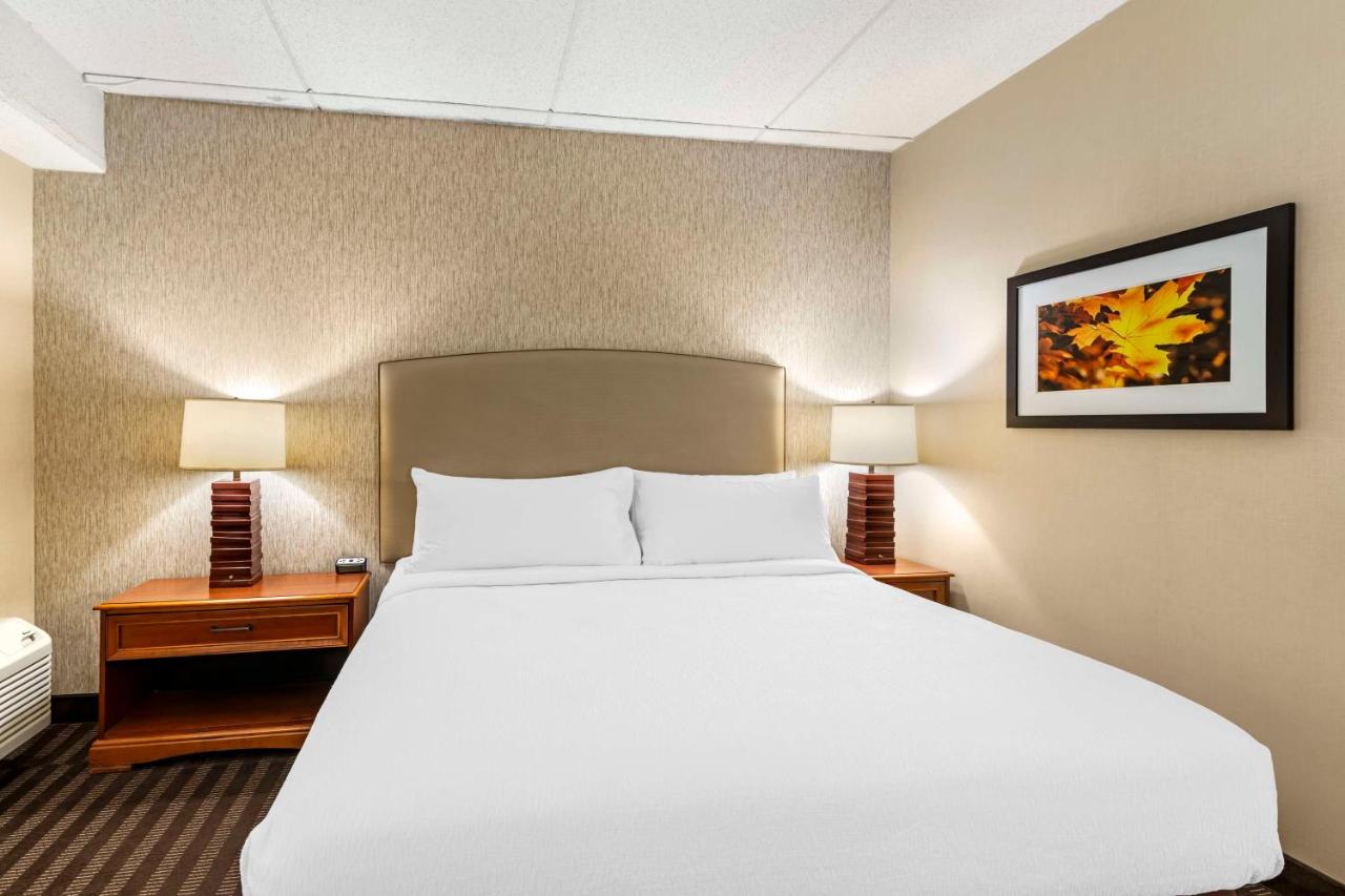  | Best Western Springfield Hotel