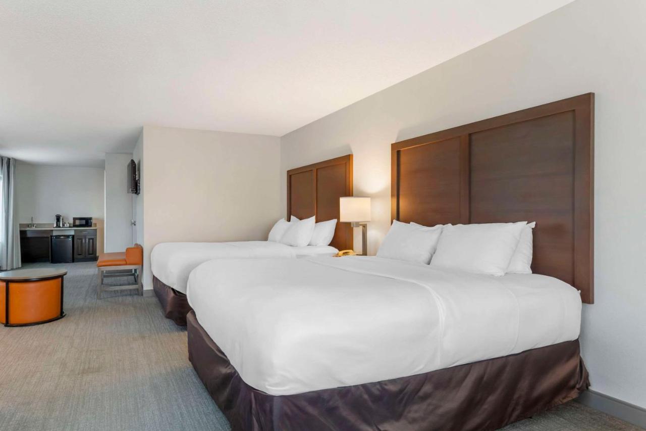 Queen Suite with Two Queen Beds and Sofa Bed - Non Smoking at Comfort Inn & Suites Chestertown