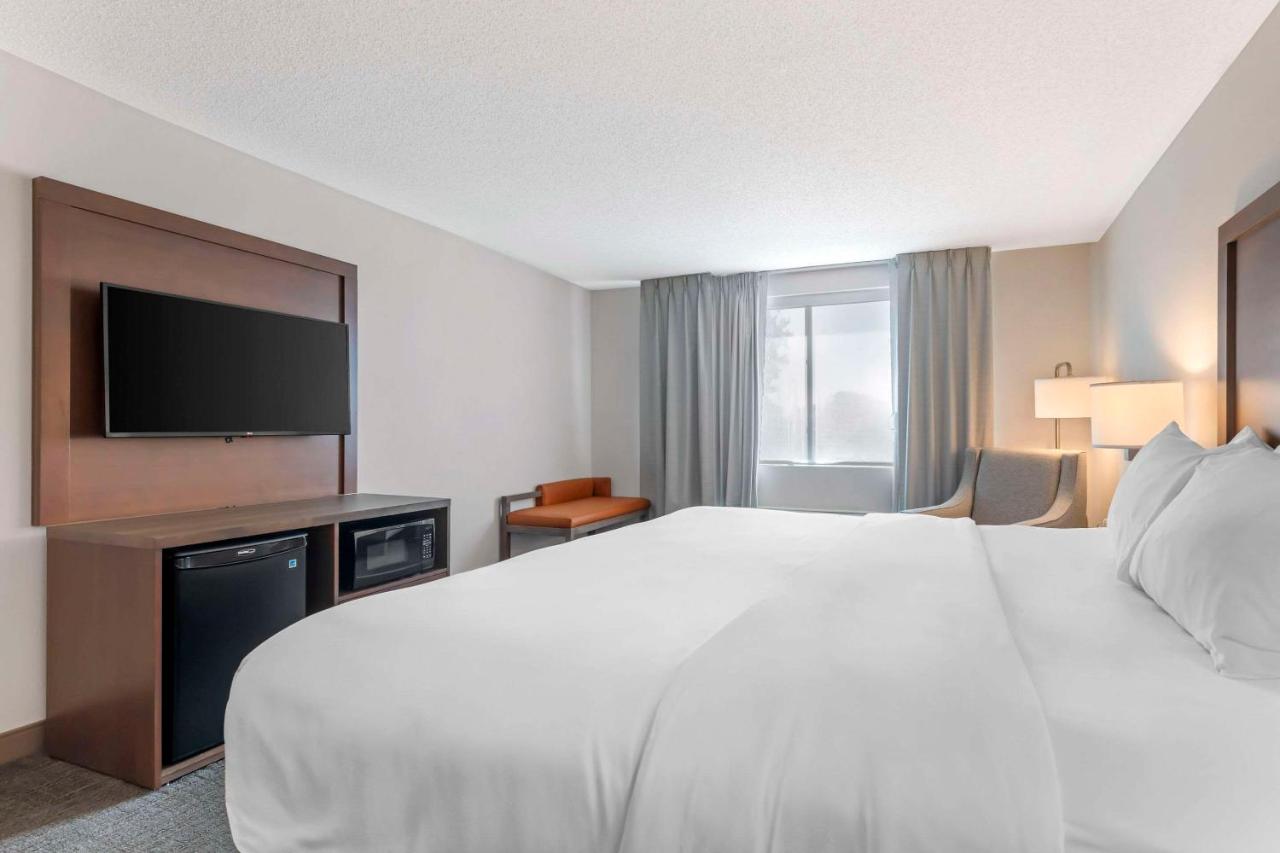 King Suite with Sofa Bed - Non Smoking at Comfort Inn & Suites Chestertown
