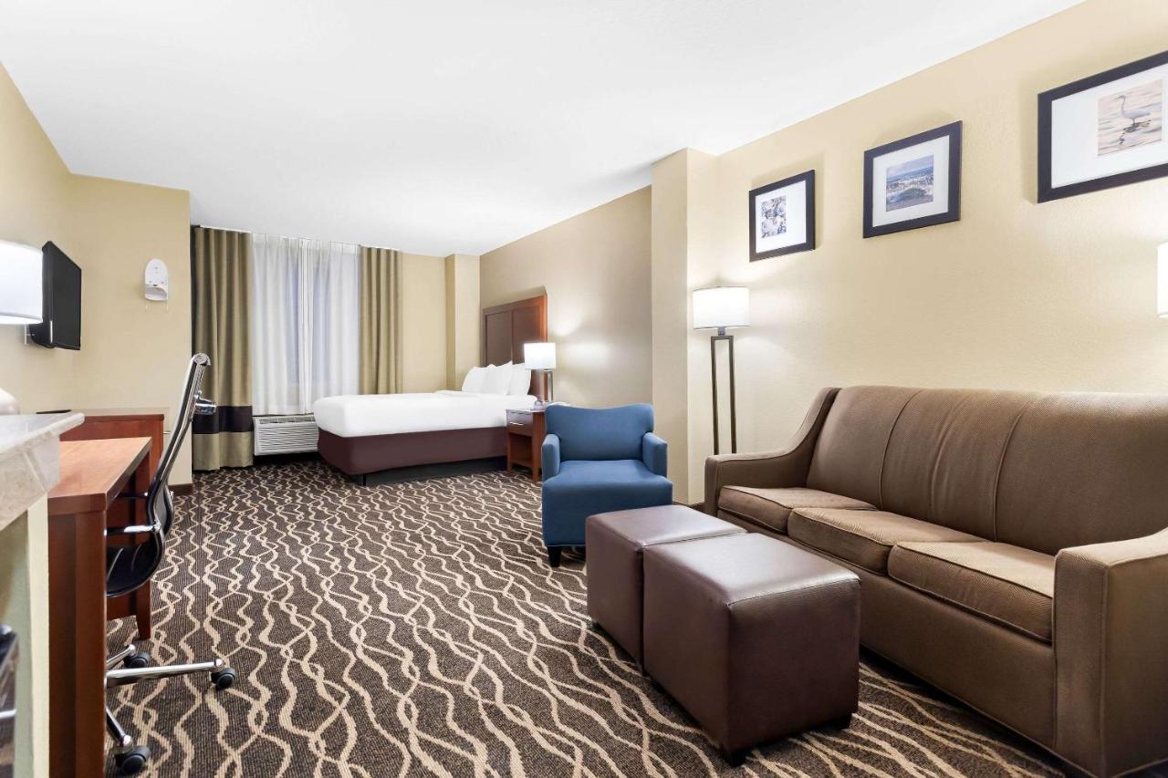 King Room with Sofa-Bed - Non-Smoking at Comfort Suites Tampa Airport North
