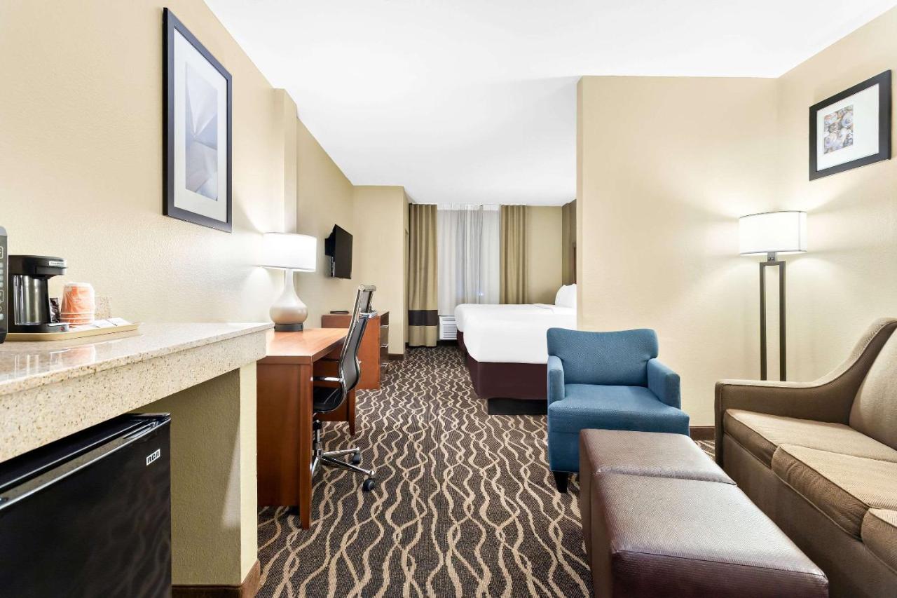 Queen Suite - Non-Smoking at Comfort Suites Tampa Airport North